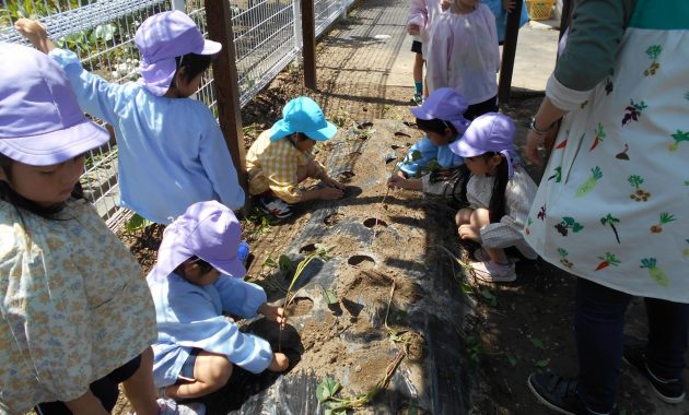 第一園 5月のできごと