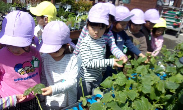 野菜の苗植え 5月1日・2日・7日