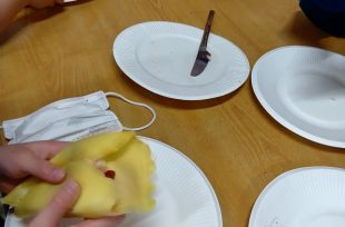 アルバム写真