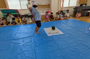 アルバム写真