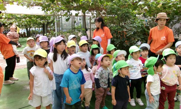 第一園　梨狩り遠足　１０月２日