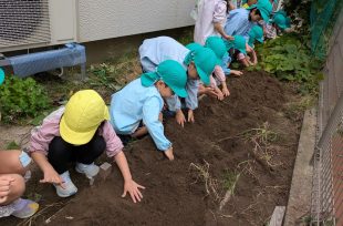 アルバム写真