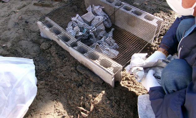第二園　焼き芋　11月14日